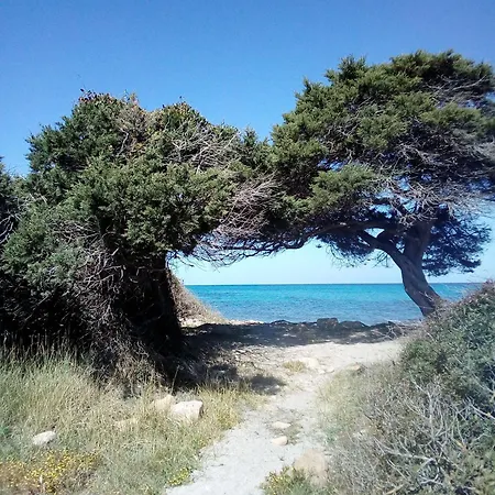 דירה La Caletta Central