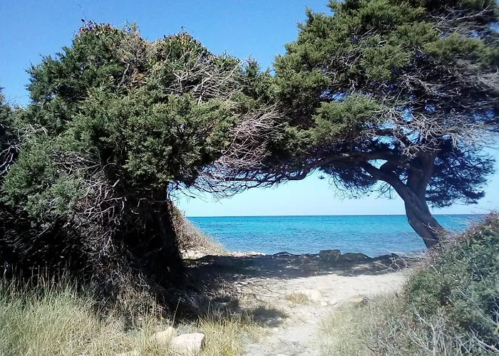 Appartement La Caletta Central